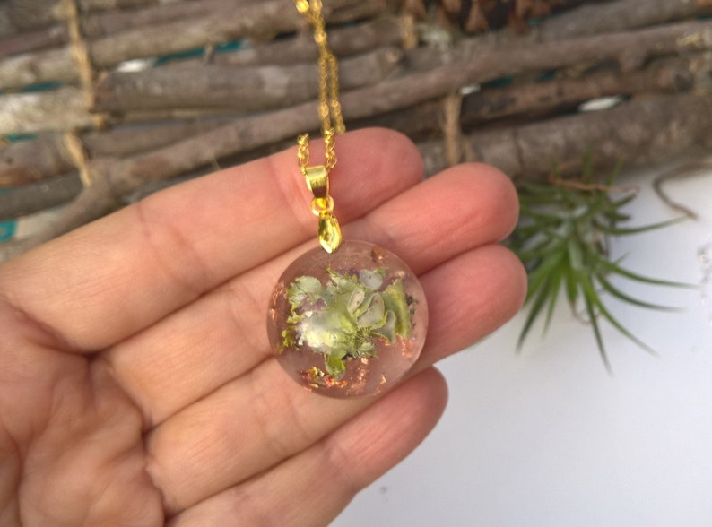 Real Lichen Woodland Resin Nature Round Forest Pendant Necklace image 3