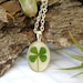 see more listings in the Botanical Necklaces section