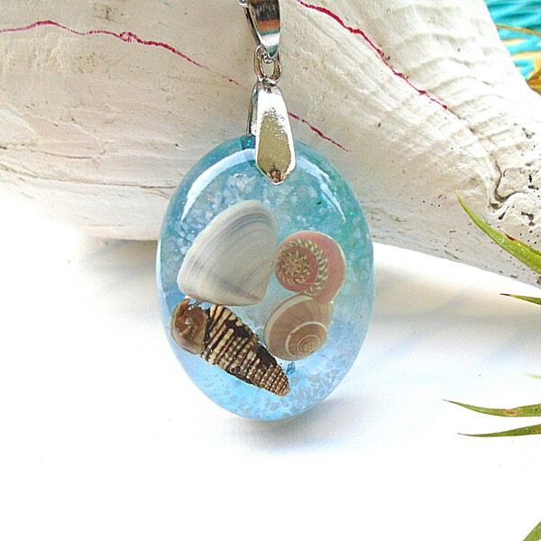 Seashell Pendant Etsy