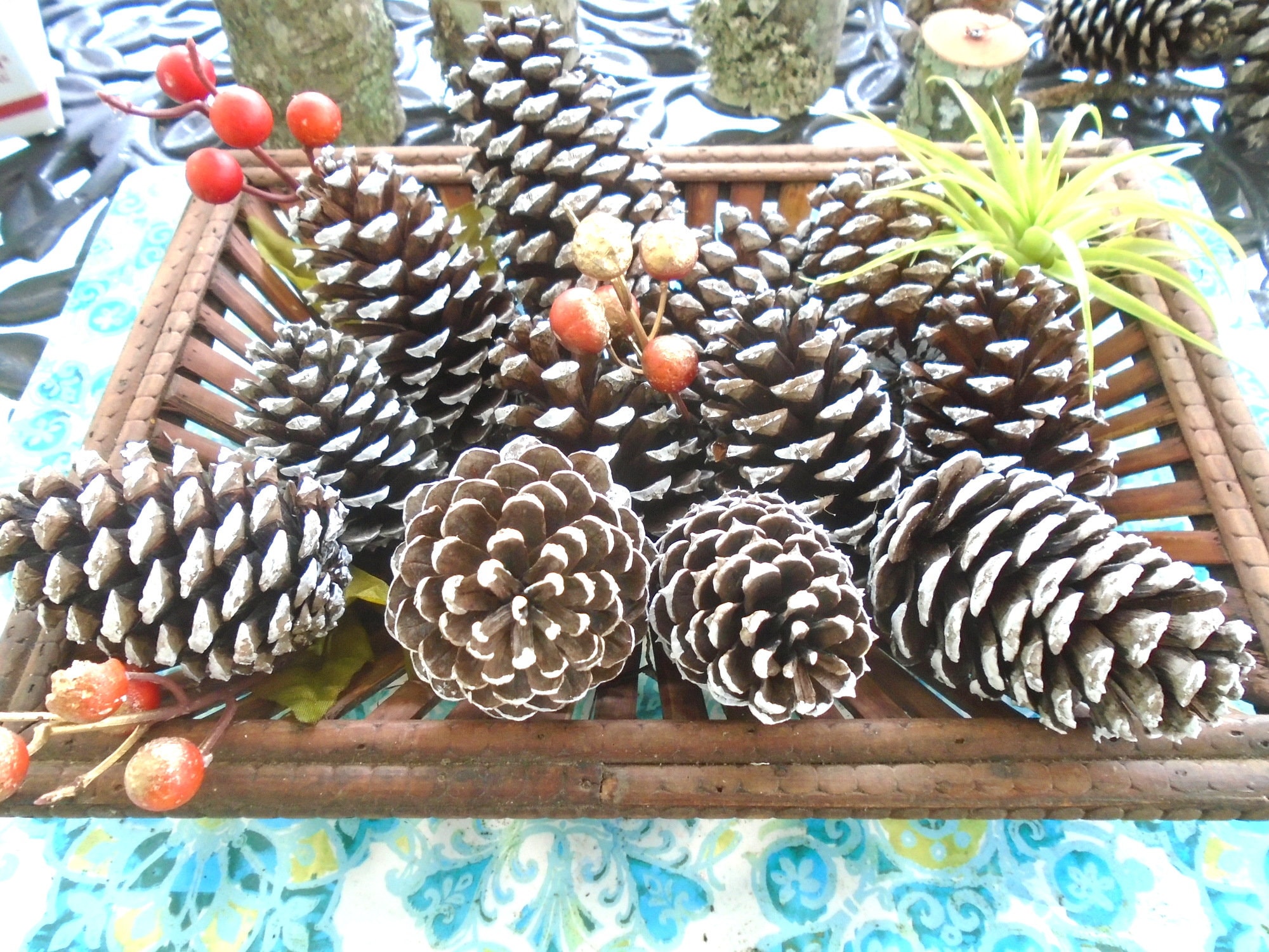 Bleached and Frosted Pinecone Tassels - South House Designs