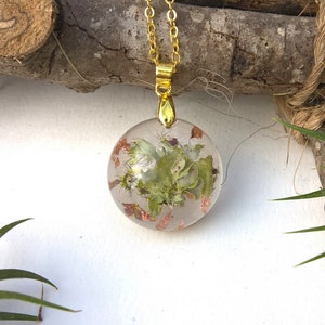 Real Lichen Woodland Resin Nature Round Forest Pendant Necklace image 5