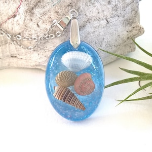 Shell Resin Real Seashell Pendant Ocean Beach Necklace