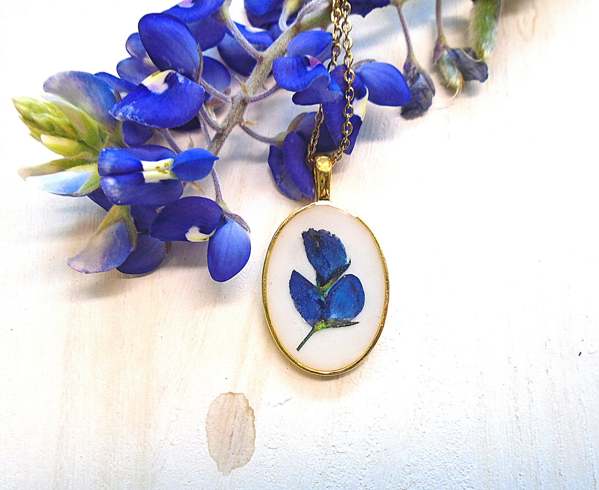 Real Texas Bluebonnet Pressed Flower Gold Wildflower oval