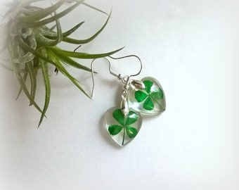 Real Pressed Four Leaf Clover Irish Heart Lucky Charim Resin  Earrings