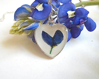 Texas Bluebonnet Real Pressed Flower Silver Plated Heart Pendant Necklace