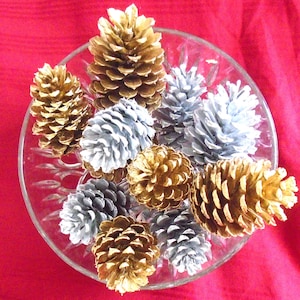 May include: A bowl filled with pine cones painted in gold and silver. The pine cones are arranged in a decorative pattern.