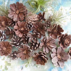 30 Pine Cone Flowers  Natural Unpainted Pinecone Zinnia Daisy Craft Supply for Wreaths, Wall Art and Home Decor