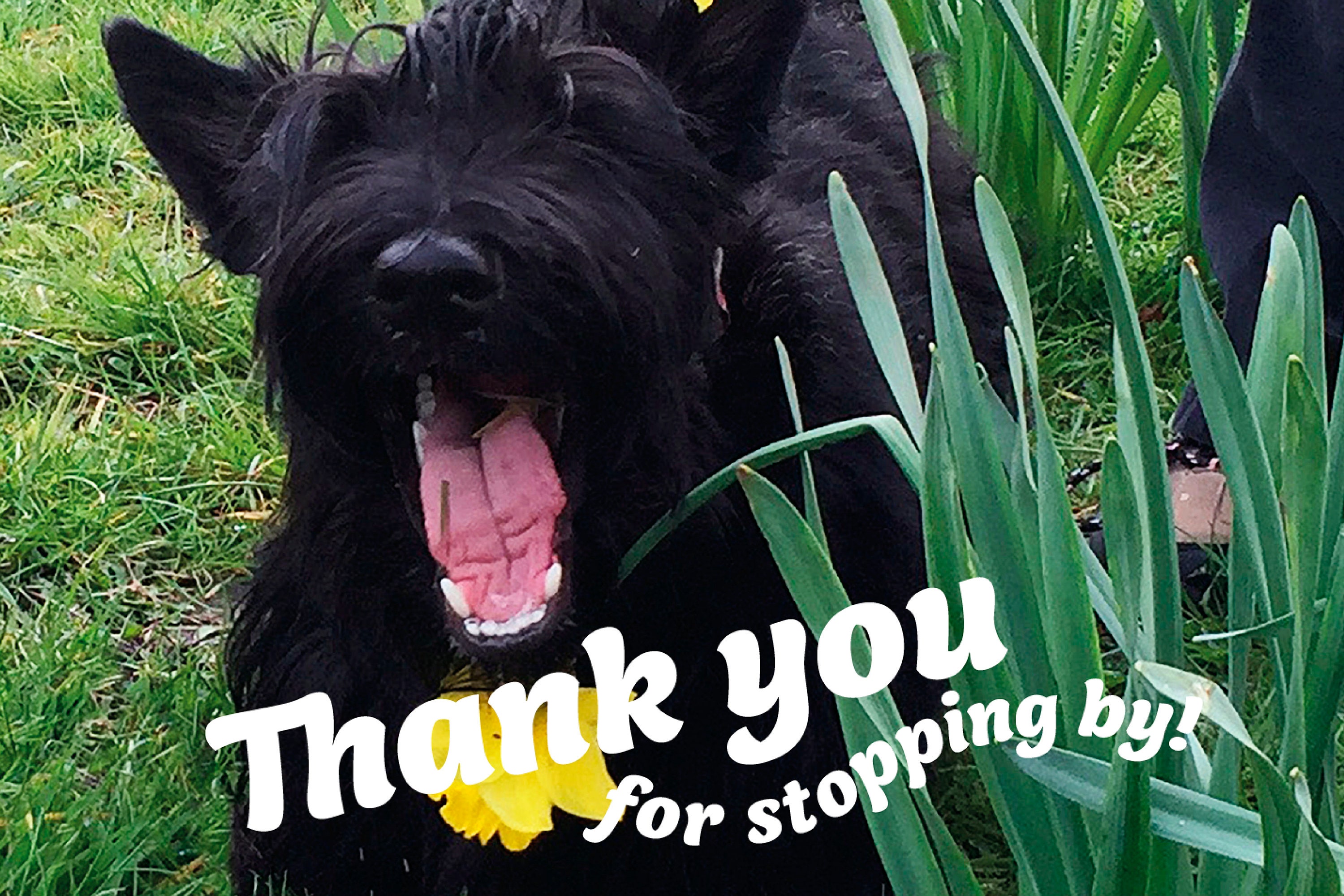 Ungerahmt einzigartige Vintage Scottie Hund &amp; Mohn Blume Etsy