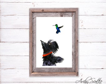 May include: A watercolor painting of a black Scottish Terrier looking up at a green and blue hummingbird. The dog is wearing a red collar and the hummingbird is flying in mid-air.
