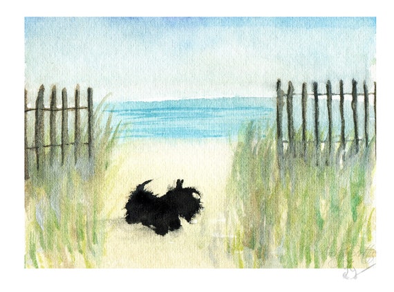 6 Scottish Terrier Scottie Blank Art Note Greeting Cards