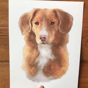 Toller Art Print 8x10” Nova Scotia Duck Tolling Retriever NSDTR estilo aquarela