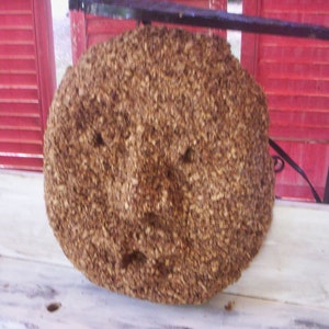 Sägemehl Maske/afrikanische Maske/unvollendete Maske/unvollendete Holz Sägemehl Maske/Herbst Dekor/Autume Dekor/Herbst Projekt/Autume Projekt/Craft-Projekt