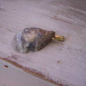 May include: A close-up of a gray and brown seashell with a gold metal accent. The seashell is on a white painted wooden surface.