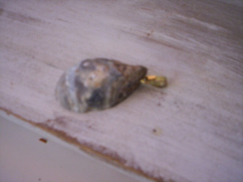 May include: A close-up of a gray and brown seashell with a gold metal accent. The seashell is on a white painted wooden surface.