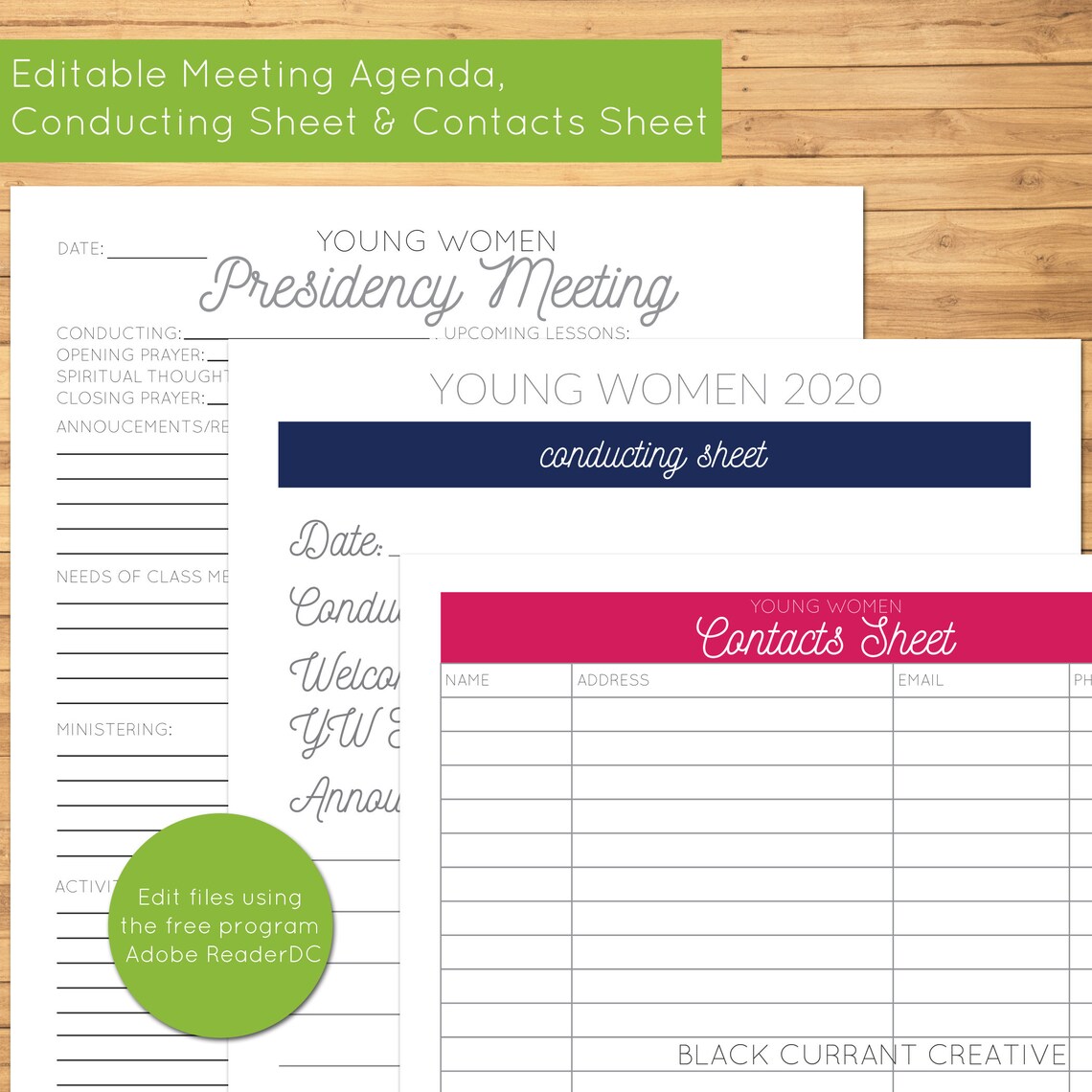2021 Young Women's Editable Meeting Agenda Conducting | Etsy