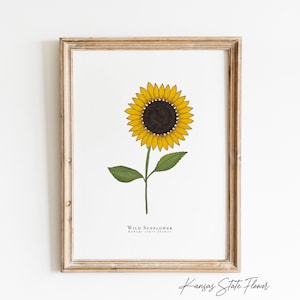 State Flowers Color Print | United State Flower Print with  Different Size Options | Unframed Bedroom Wall Art