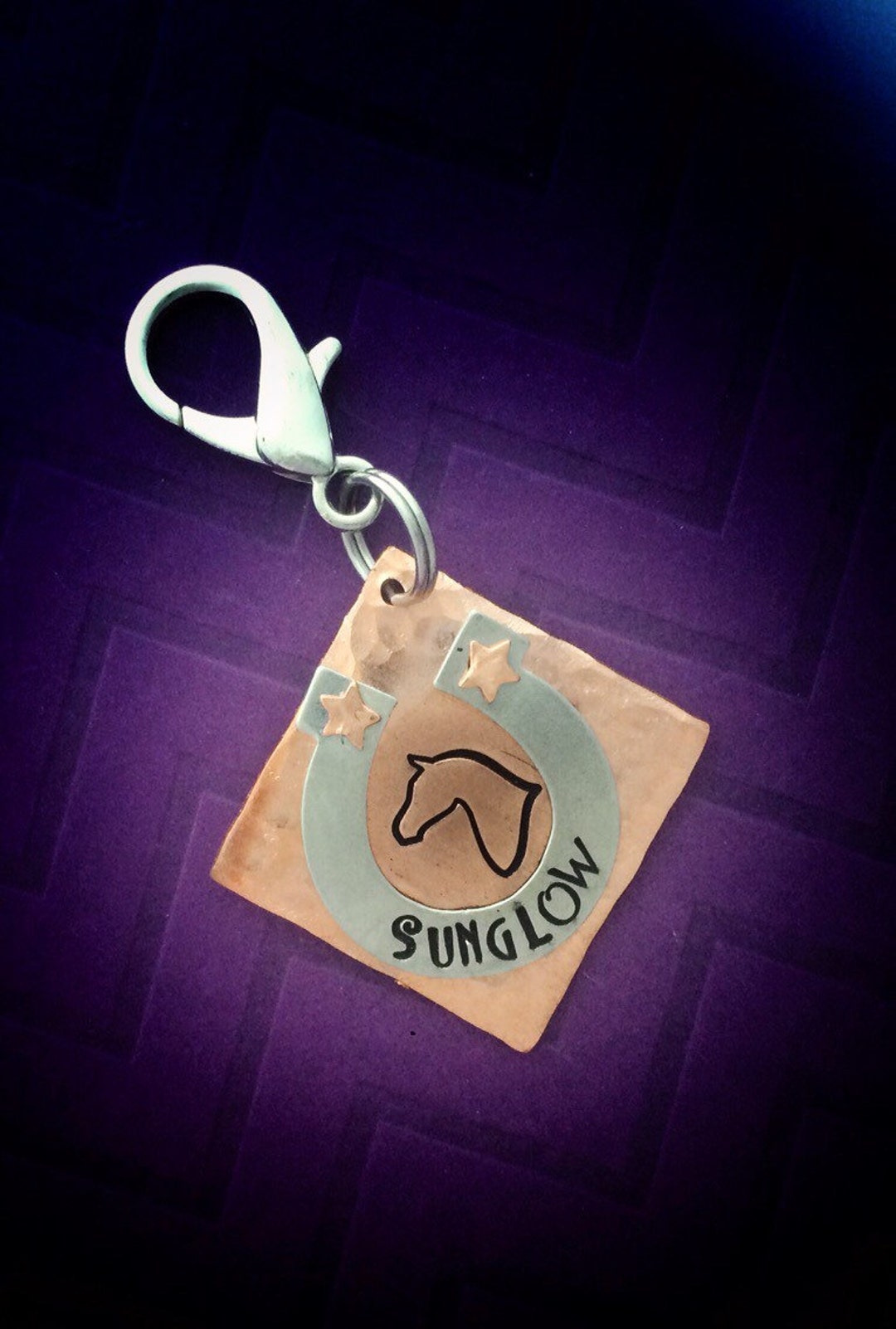 Personalized Horse ID Tag Horse Name Horseshoe Horse Etsy