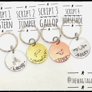 May include: Four silver keychains with different designs and names. The keychains feature a horseshoe, a horse jumping over a barrel, a horse galloping, and a horse jumping over a fence. The names on the keychains are Lacey, Snickers, Spicy, and Rocky.