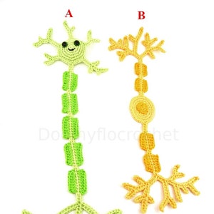 May include: Two crocheted neuron models, one green and one yellow, with the letters A and B above them. The green neuron has a face and a long axon with dendrites at the bottom. The yellow neuron has a long axon with dendrites at the top and bottom.