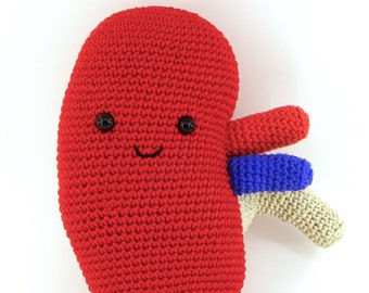 Human kidney handmade crochet cotton plush anatomy medicine