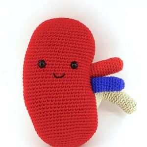 Human kidney handmade crochet cotton plush anatomy medicine