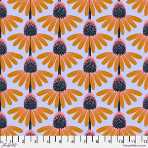 Love Always LAWN: Echinacea in Morning Love Always LAWN: Echinacea in Morning