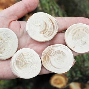 Set of 5 Unfinished wooden slices 35-40 mm 1.4-1.6 inches wooden slice natural eco friendly made of spruce wood image 6