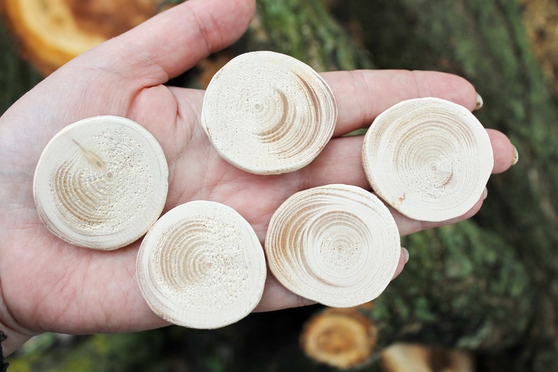 Set of 5 Unfinished wooden slices 35-40 mm 1.4-1.6 inches wooden slice natural eco friendly made of spruce wood image 6