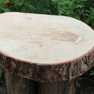 discos de madera rodajas de madera tocón de madera madera natural