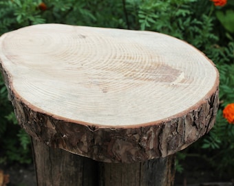 Unfinished big wooden pine slice 10.6 inches (270 mm)   - natural eco friendly