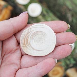 Set of 5 Unfinished wooden slices 35-40 mm 1.4-1.6 inches wooden slice natural eco friendly made of spruce wood image 5