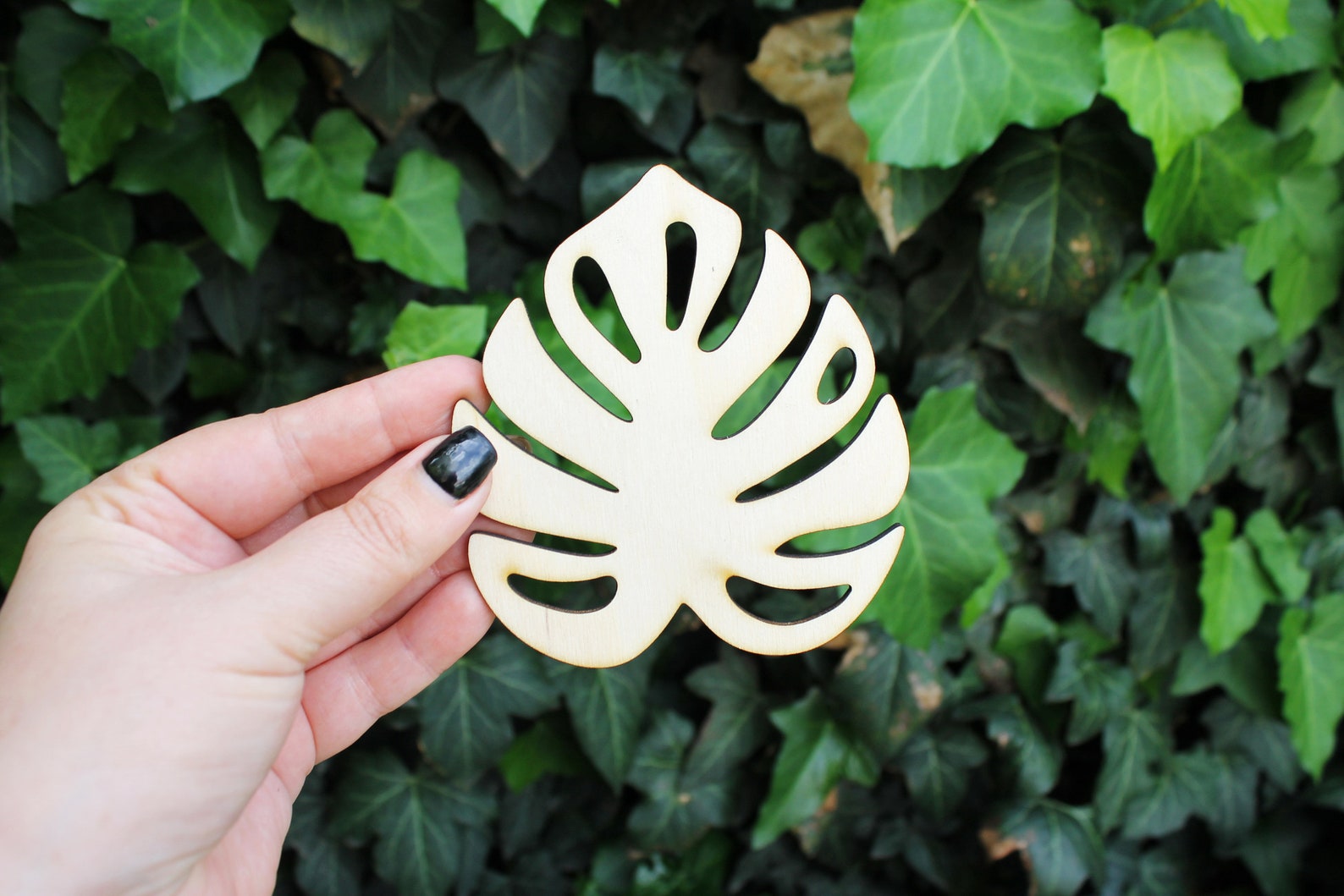Set of 6 Monstera leaf laser cut unfinished coasters 3.6 | Etsy