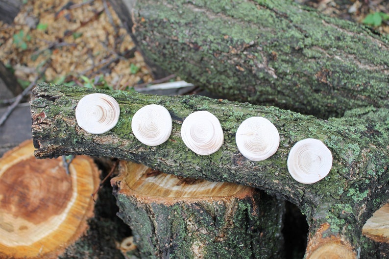 Set of 5 Unfinished wooden slices 35-40 mm 1.4-1.6 inches wooden slice natural eco friendly made of spruce wood image 1