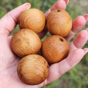 36-37 mm natuurlijke houten kralen gekookt in olijfolie 5/10 st – Milieuvriendelijk beukenhout, perfect voor het maken van sieraden, doe-het-zelfprojecten en knutselen