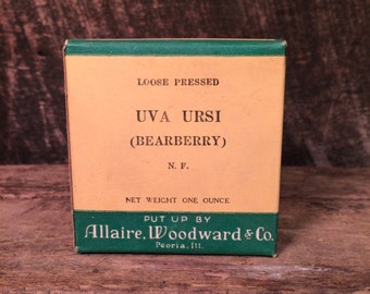 Antique Allaire, Woodward & Co. "Uva Ursi" (Bearberry) - Unopened Herb Box Early 1900s - Kitchen Accent Decoration Oddity Curiosity