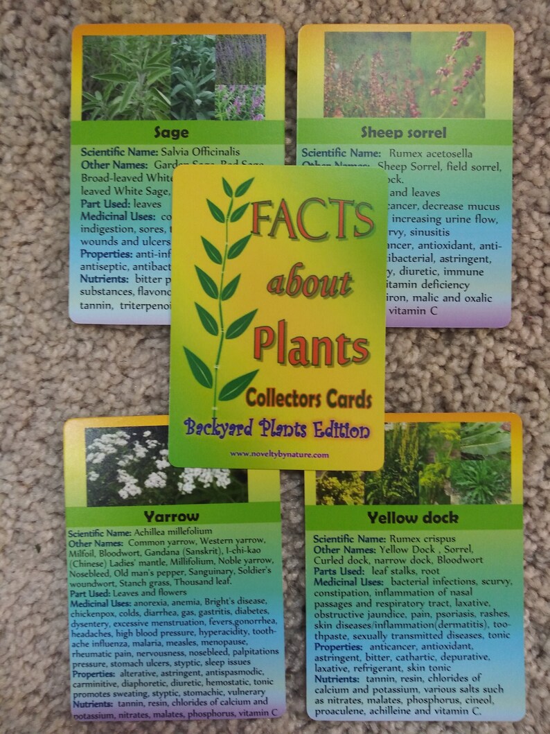 以下が含まれることがあります： 植物の写真と、その植物の学名、一般名、使用部位、薬効、特性、栄養素に関するテキストが書かれた、カラフルなカード4枚セット。カードのタイトルは「植物について：コレクターズカード 庭の植物版」。