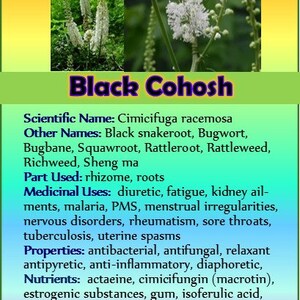 以下が含まれることがあります： 白い花と緑の葉のクローズアップ。画像の上部に「Black Cohosh」というテキストがあります。画像の下のテキストは、植物の学名、その他の名前、使用される部分、薬効、特性、栄養素について説明しています。