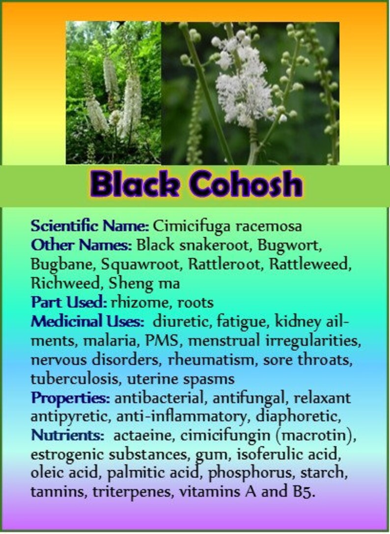 以下が含まれることがあります： 白い花と緑の葉のクローズアップ。画像の上部に「Black Cohosh」というテキストがあります。画像の下のテキストは、植物の学名、その他の名前、使用される部分、薬効、特性、栄養素について説明しています。