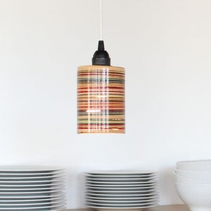 Recycled Skateboard Pendant Lamp with braided cord set