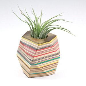 Recycled Skateboard Geometric Air Plant Holder