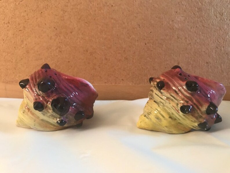Conch Shell Salt and Pepper Shakers,
