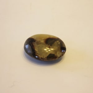 Septarian Nodule