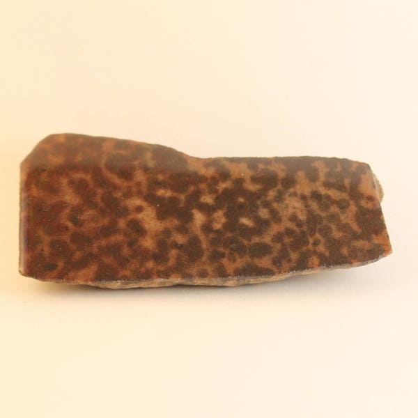 Leopard Skin Sandstone Specimen