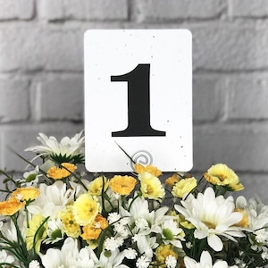 Table Number Cards, Rounded Corner - Recycled Seeded Paper, Plantable Wildflower Seed Paper Table Numbers - Wedding Decor
