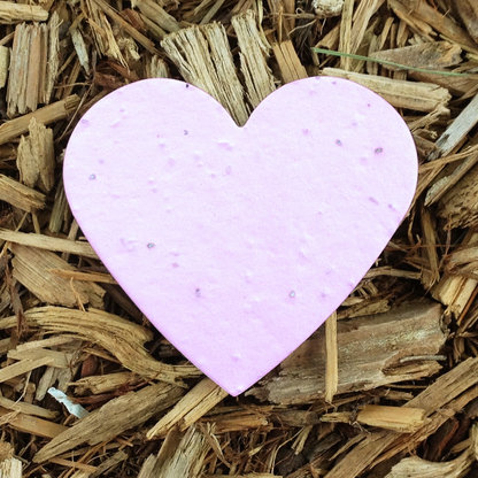 12 Heart Plantable Seeded Paper Shape Favors 2 5/8 x | Etsy