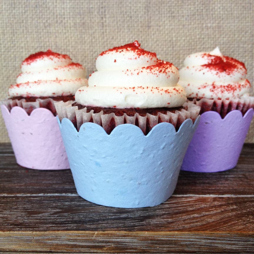 Plantable Cupcake Wrappers Wildflower Seed Recycled Paper 12 Pack Available in 29 Colors
