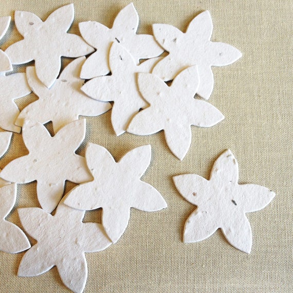 Confeti de papel de semilla plantable en forma de flor de - Etsy México Confeti de papel de semilla plantable en forma de flor de - Etsy México