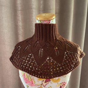 May include: A brown knitted turtleneck collar with a lacy design. The collar is on a mannequin with a floral pattern.