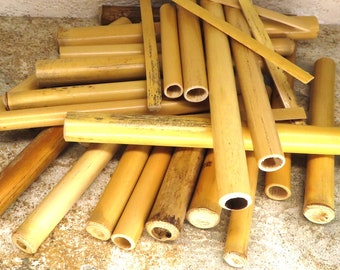 40 Bamboo Pieces Bamboo Bamboo Lengths Bee Box Bamboo Natural Bamboo Sticks Cut Bamboo Sticks Lizard Ramp Reptile Bridge Pan Flute Pieces