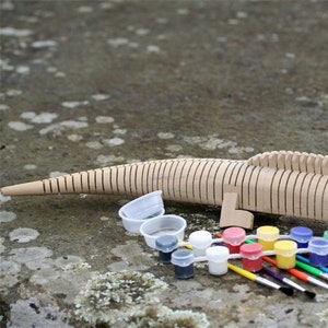 Komodo Dragon Personalized Kid Gift Komodo Dragon Toy Komodo Dragon Gift 5 Year Boy Birthday 8 Year Boy Birthday 6 Year Boy Birthday Gift